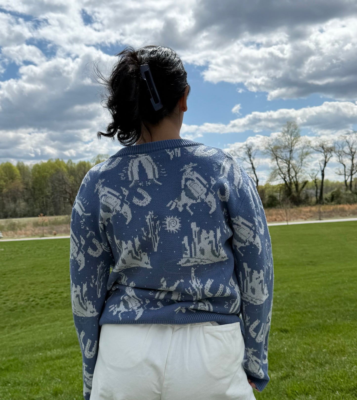 Western Trail Sweater